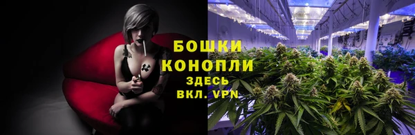твердый Гусь-Хрустальный
