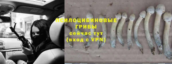 кокс Гусиноозёрск
