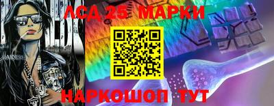 гашик Новозыбков