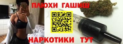 гашик Новозыбков