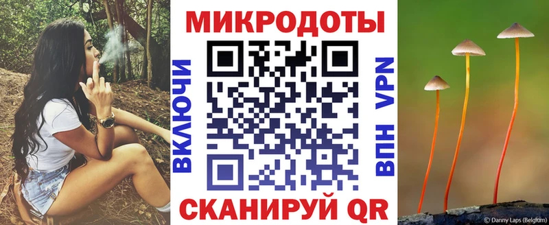 Псилоцибиновые грибы Psilocybe  Моршанск 