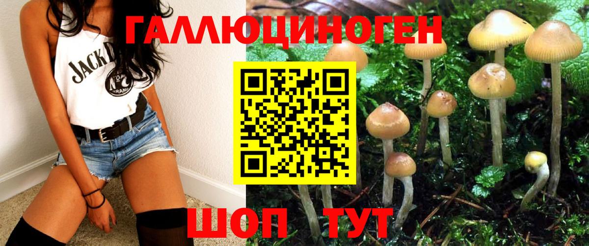 Моршанск  Галлюциногенные грибы ЛСД  Псилоцибиновые грибы мицелий  Вход с VPN 