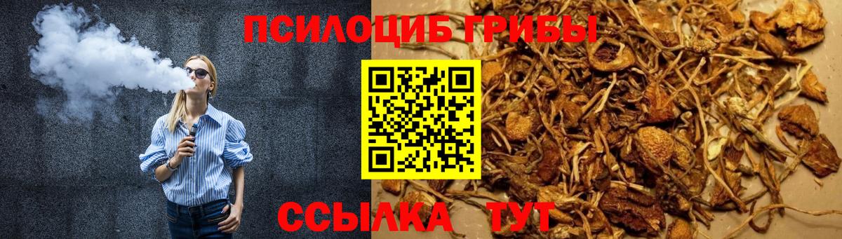 Галлюциногенные грибы MAGIC MUSHROOMS Моршанск
