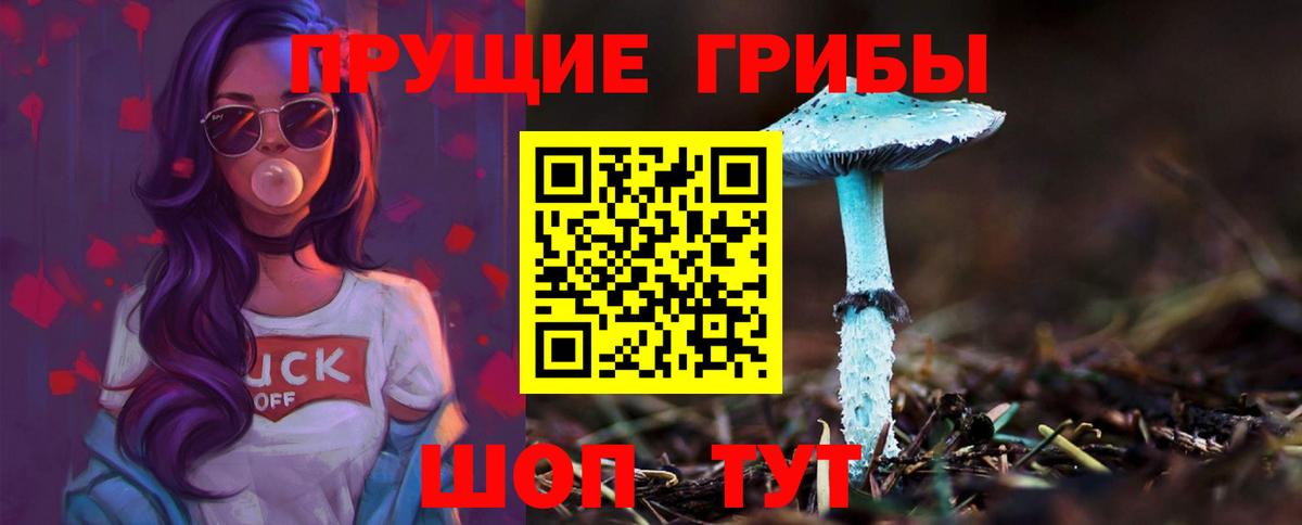 Галлюциногенные грибы Psilocybe  Моршанск  Галлюциногенные грибы мухоморы 